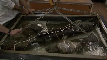 El Triunfante (2015)