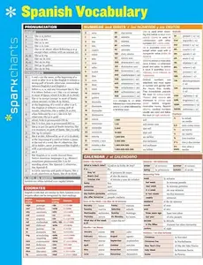 Spanish Vocabulary SparkCharts