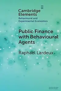 Public Finance with Behavioural Agents