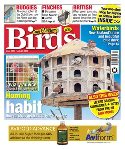 Cage & Aviary Birds - 23 July 2025