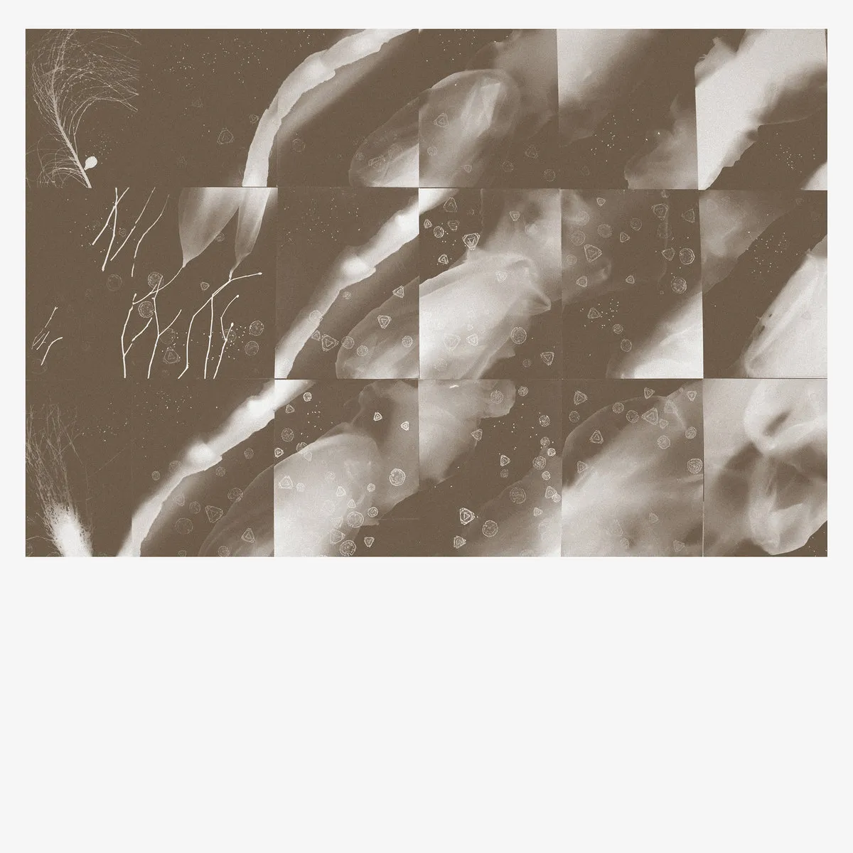 Peter Knight - For a Moment the Sky Knew My Name (2025)