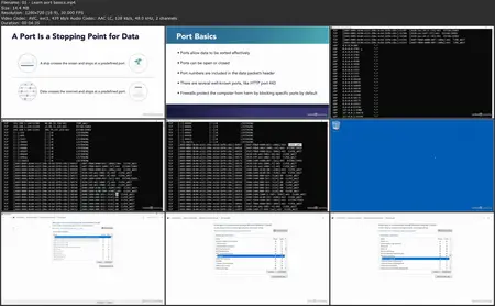 Learning the Packet Delivery Process [Updated: 9/13/2024]