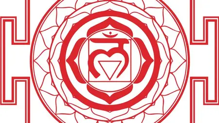 Beginners Level 1 Yoga - Earth Element