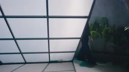 3% S02E07