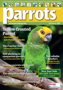 Parrots - February 2025