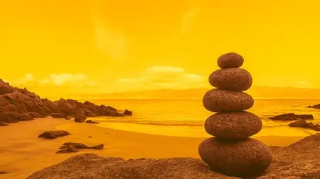 Mindfulness Certification Training Course: Complete Course