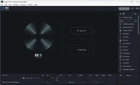 iZotope RX 11 Audio Editor Advanced 11.3.0 (x64) Portable