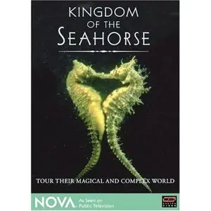 PBS Nova: Kingdom of the Seahorse