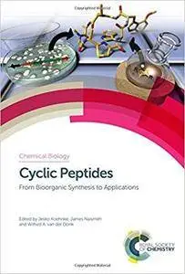 Cyclic Peptides: From Bioorganic Synthesis to Applications