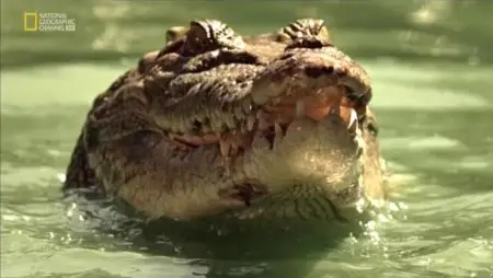 National Geographic - When Crocs Ate Dinosaurs (2009)