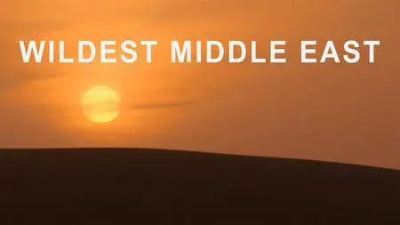 National Geographic - Wildest Middle East (2017)