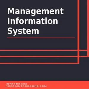 «Management Information System» by Introbooks Team