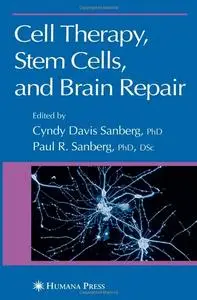 Cell Therapy, Stem Cells and Brain Repair