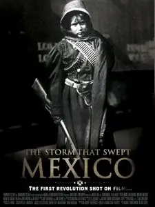 The Storm That Swept Mexico (2011)