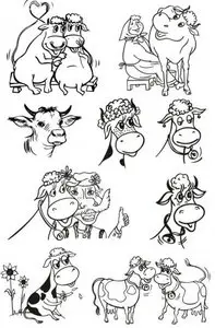 Cows vector