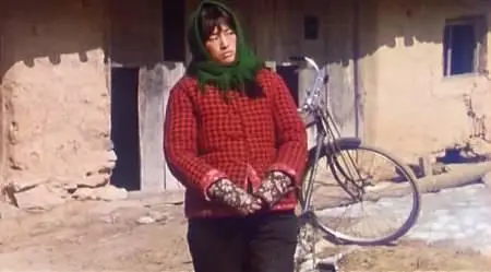 Zhang Yimou-Qiu Ju da guan si ('The Story of Qiu Ju') (1992)