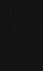 Governing For the Environment: Global Problems, Ethics and Democracy (Global Issues)