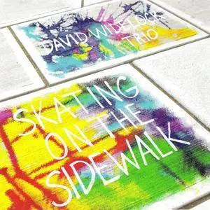 David Widelock Trio - Skating On The Sidewalk (2009)