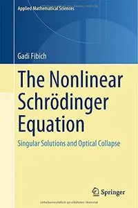 The Nonlinear Schrödinger Equation: Singular Solutions and Optical Collapse