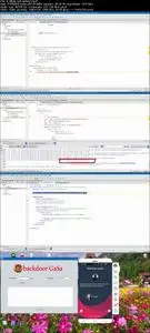 Building A Professional Mobile Application Backdoor Attack