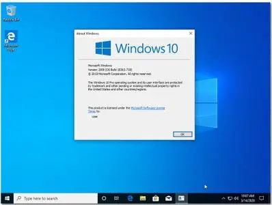 Windows 10 Pro version 1909 Build 18363.719