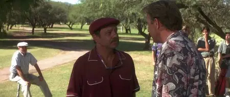 Tin cup (1996)