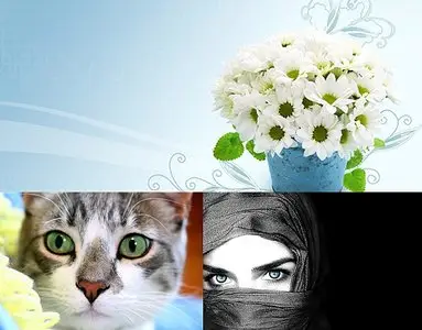 The Best Wallpapers pack 290 by nko