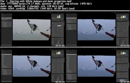 Learn Adobe Photoshop and Lightroom