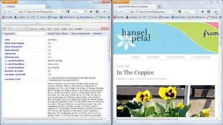 Using Accessibility to Improve SEO