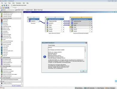 ANSYS 2020 R2 nCode DesignLife