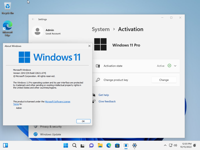 Windows 11 Pro 22H2 Build 22621.674 (No TPM Required) With Office 2021 Pro Plus Multilingual Preactivated