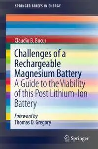 Challenges of a Rechargeable Magnesium Battery: A Guide to the Viability of this Post Lithium-Ion Battery