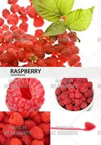 Stock Photo - Raspberry