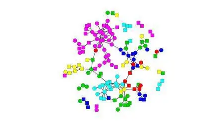 More Data Mining with R