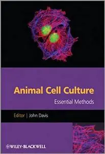 Animal Cell Culture: Essential Methods