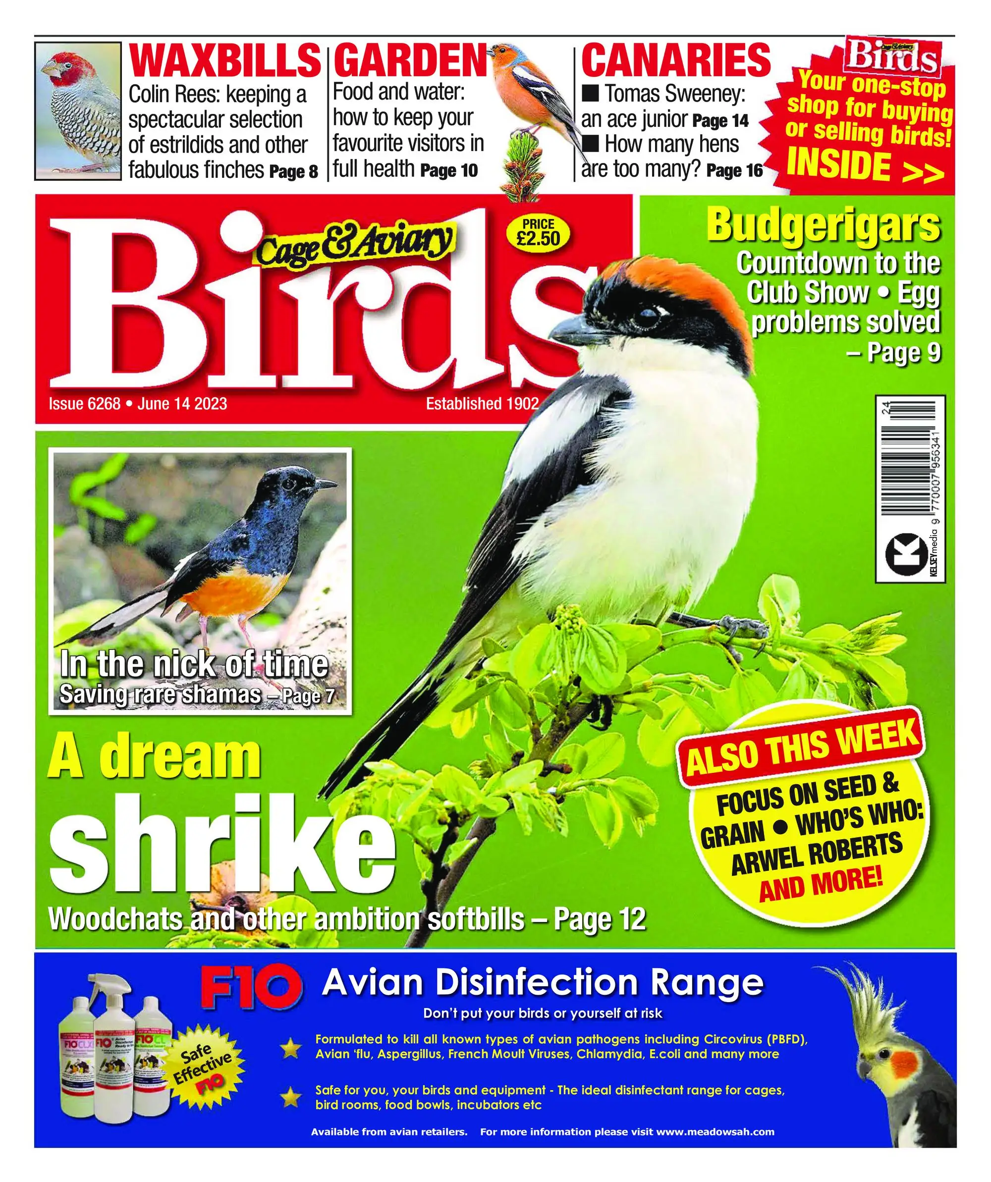 Cage & Aviary Birds – 14 June 2023