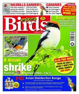 Cage & Aviary Birds – 14 June 2023