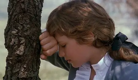 Il sole anche di notte / Night Sun (1990)