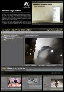 Lynda.com - After Effects Insight into Effects DVD 