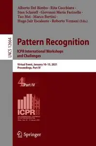 Pattern Recognition. ICPR International Workshops and Challenges (Repost)