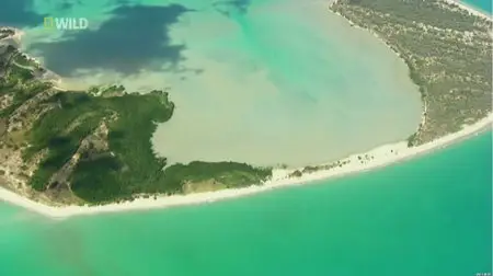 National Geographic - Croc Island Battleground (2013)