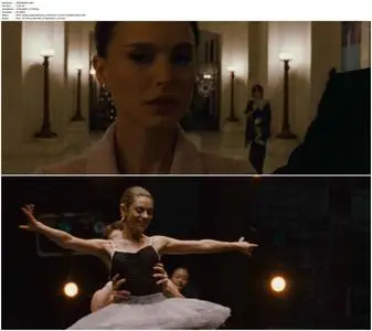 Black Swan (2010)