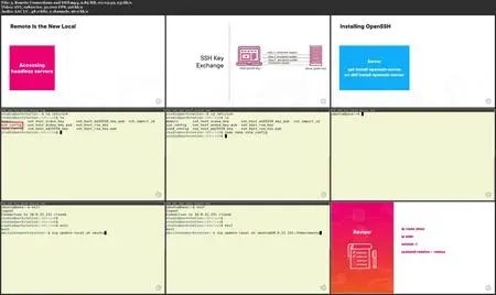 Getting Started with the Linux Command Line [Updated May 16, 2023]