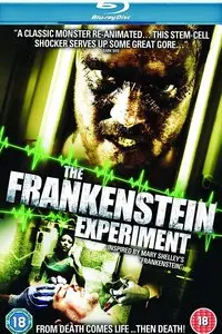 The Frankenstein Syndrome (2010)