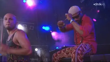 Anthony Joseph & The Spasm Band - Paleo Festival Nyon (2013) HDTV 720p