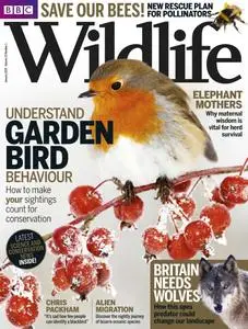 BBC Wildlife Magazine – December 2014