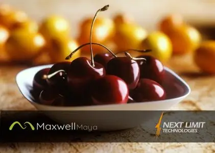 NextLimit Maxwell 5 version 5.0.6 for Maya