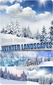 Winter landscape - UHQ Stock Photo