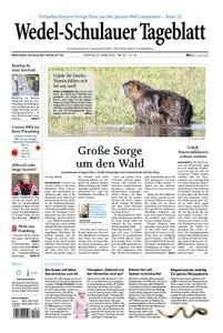 Wedel-Schulauer Tageblatt - 20. April 2020