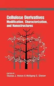 Cellulose Derivatives. Modification, Characterization, and Nanostructures